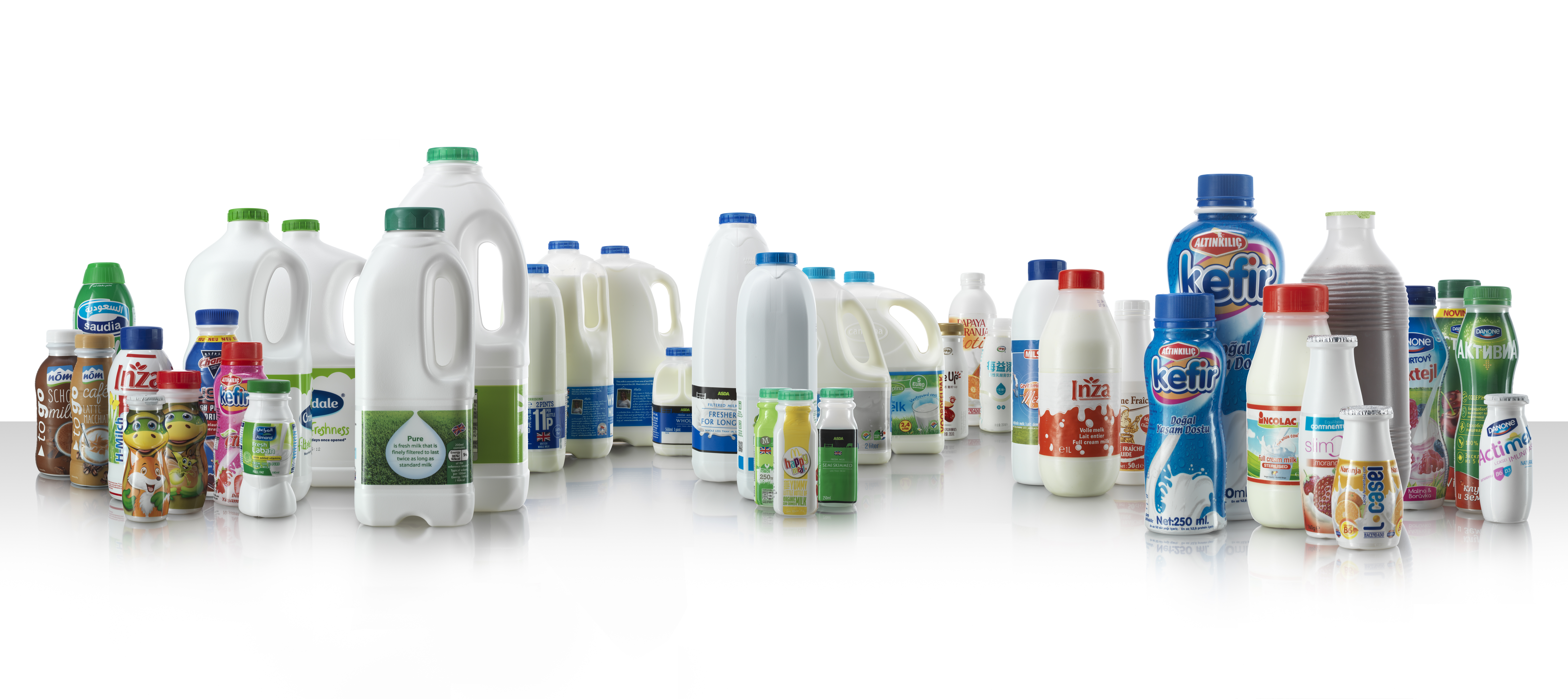 milk and dairy market segment